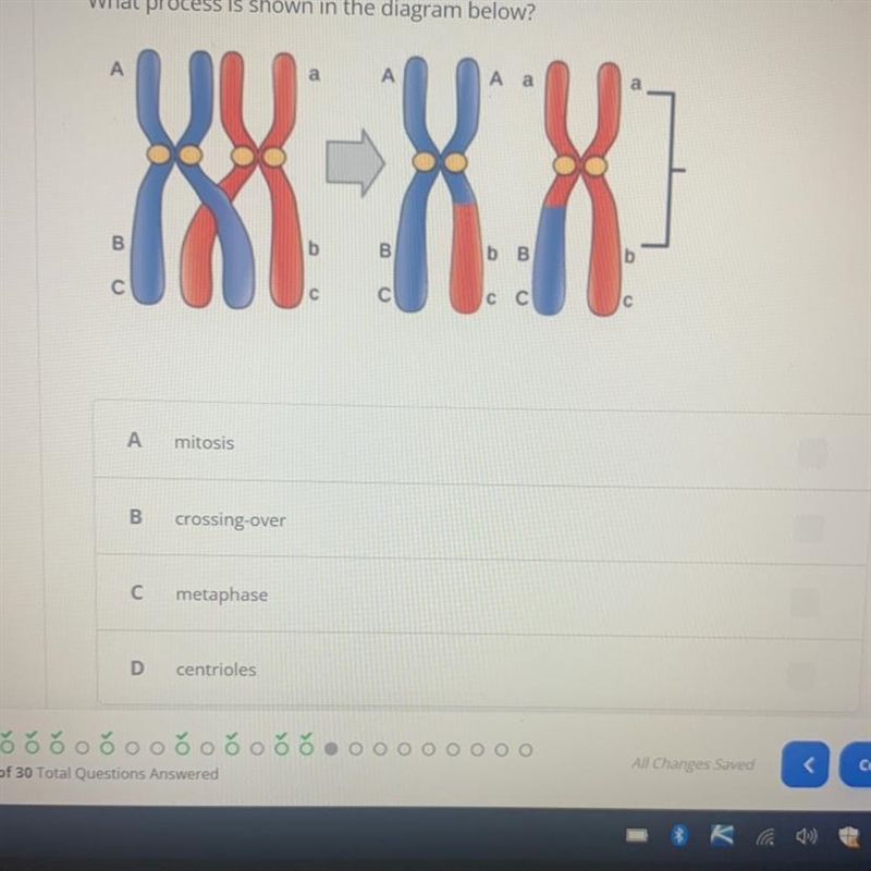 What process is this please help me-example-1