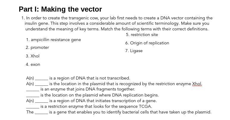 In order to create the transgenic cow, your lab first needs to create a DNA vector-example-1