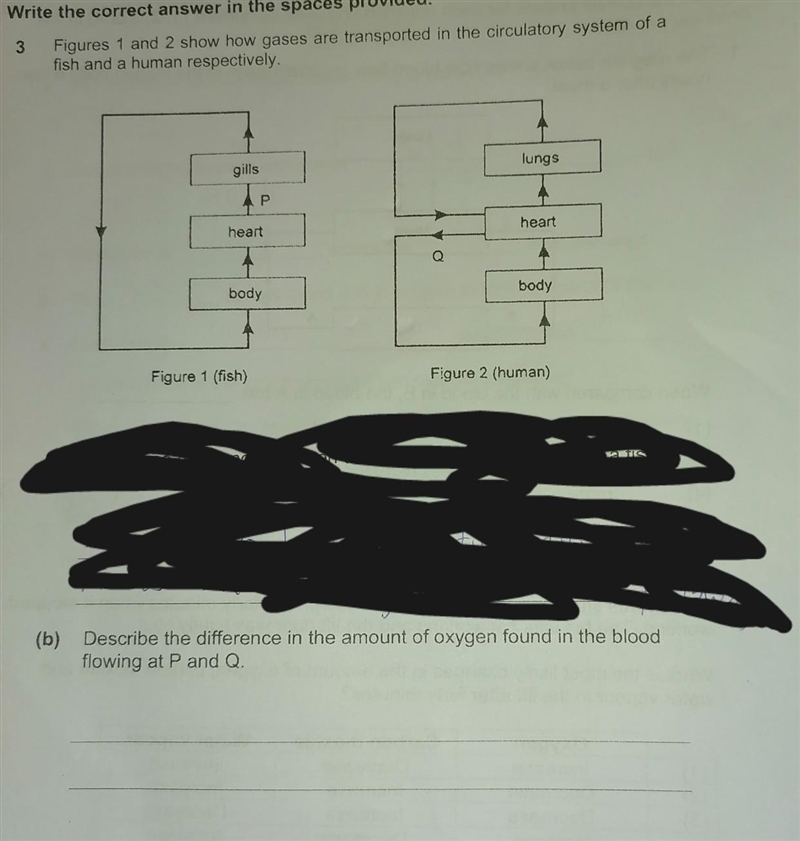 Question is up there (question b) ​-example-1