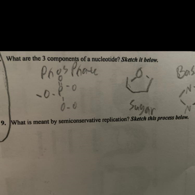 9. What is meant by semiconservative replication? Sketch this process below.-example-1