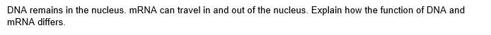 Please help me with this question.2.DNA remains in the nucleus. mRNA can travel in-example-1