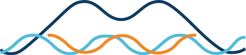 What process does the image below show? A. DNA transcription B. polymerasing C. mRNA-example-1