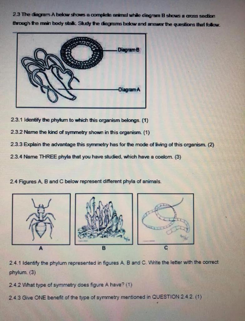 Looking for a tutor who can help me fastThe questions are 2.3.1., and 2.3.2.-example-1