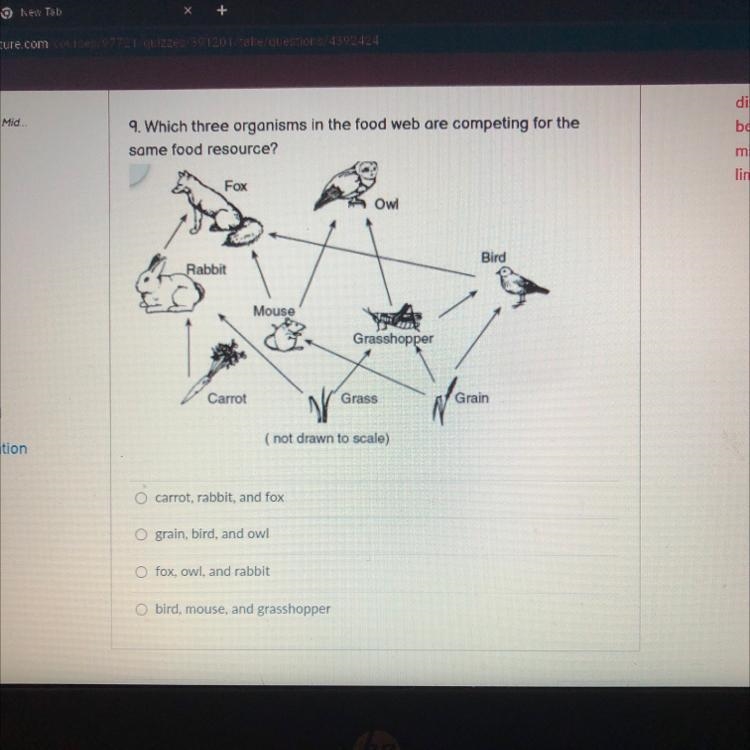 9. Which three organisms in the food web are competing for the same food resource-example-1