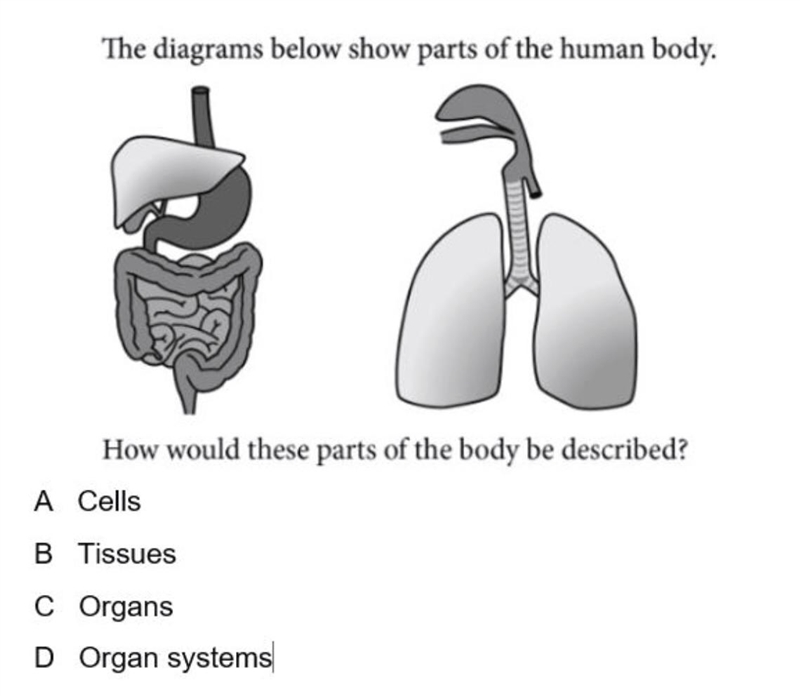 Pls help with this Q-example-1