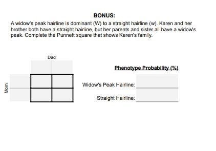 A widow's peak hairline is dominant (W) to a straight hairline (w). Karen and her-example-1