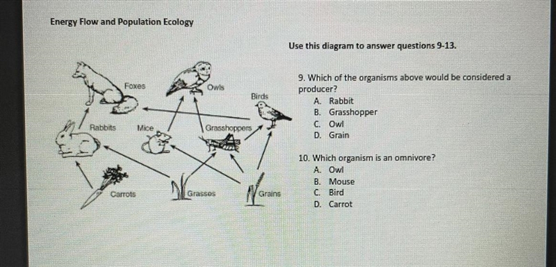 11. Which of these is a food chain from the diagram? A. Grain, rabbit, owlB. carrot-example-1