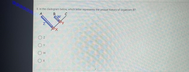 8. in the cladogram below, which letter represents the unique history of organism-example-1