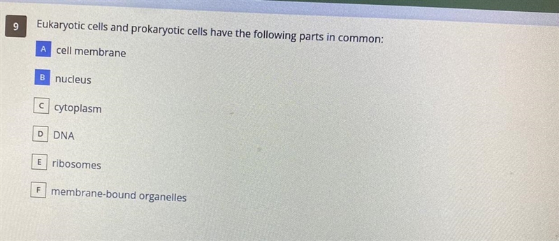 Please tell me the following correct answers if I am wrong. Multiple Choice-example-1