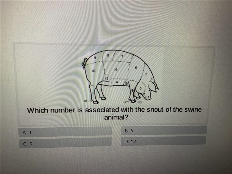 Need help with question super quick-example-1