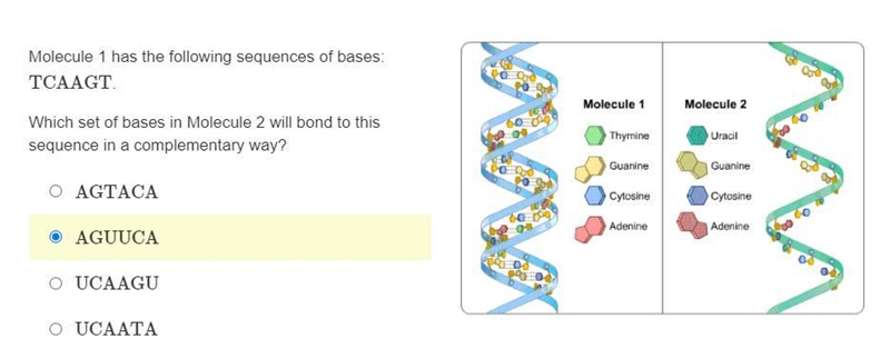 Please help me with this question I submitted a picture of my choice but I am not-example-1