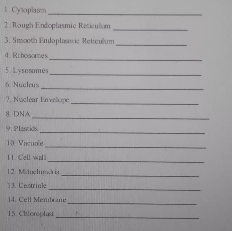 Write P if the organelle can be found in plants only, A if in animals only and B if-example-1