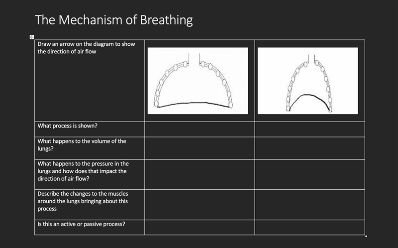 The Mechanism of Breathing Worksheet-example-1