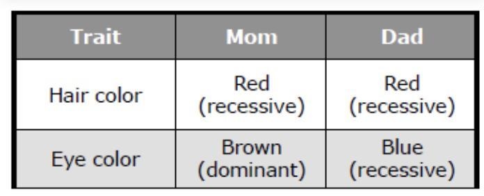 The table lists traits and whether they arerecessive or not for two parents. Based-example-1