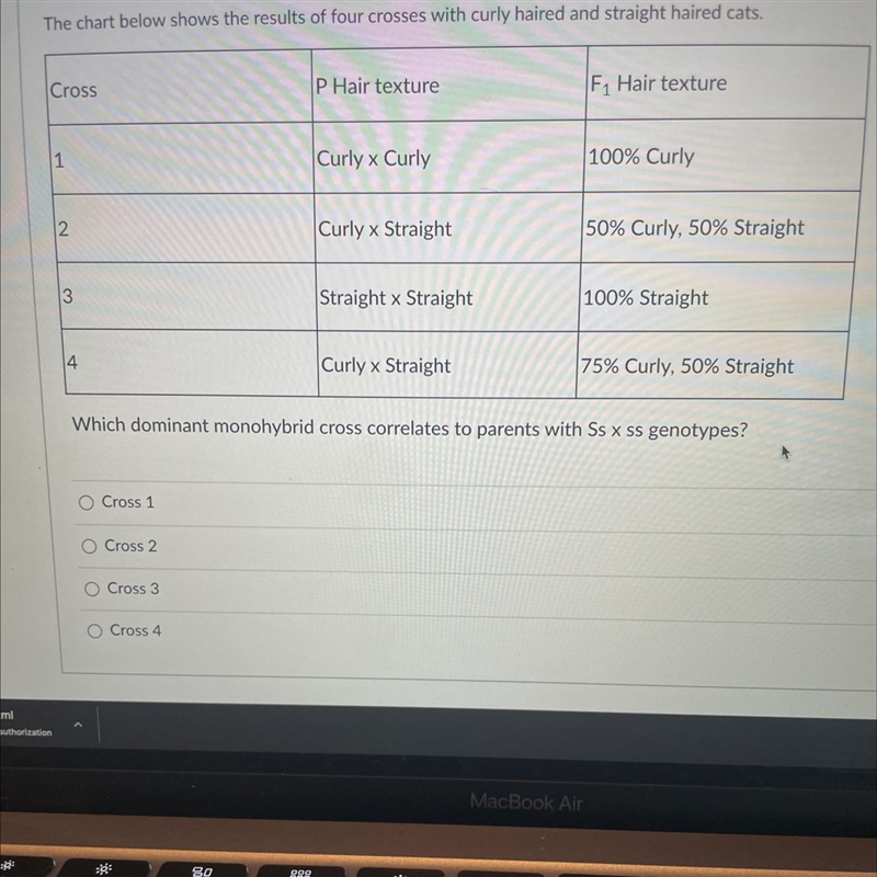 I need help with this question this is non graded-example-1