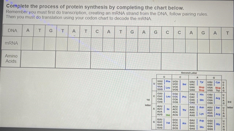 Complete the process of protein synthesis by completing the chart below.Remember you-example-1