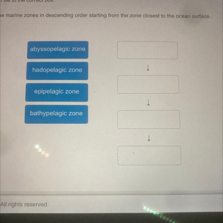 Drag each tile to the correct box. Arrange the marine zones in descending order starting-example-1