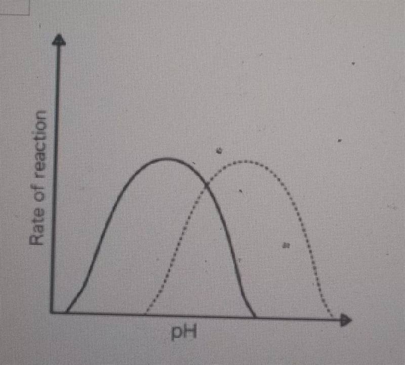 1. The graph below shows rate of reaction data for 2 different enzymes. One of these-example-1