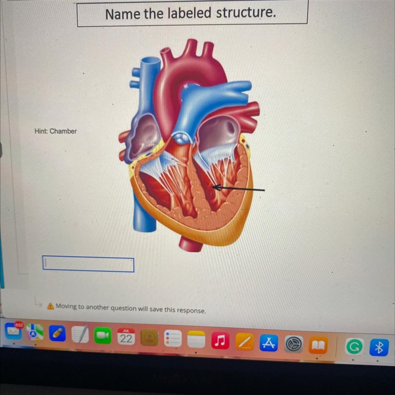 Name the labeled structure-example-1