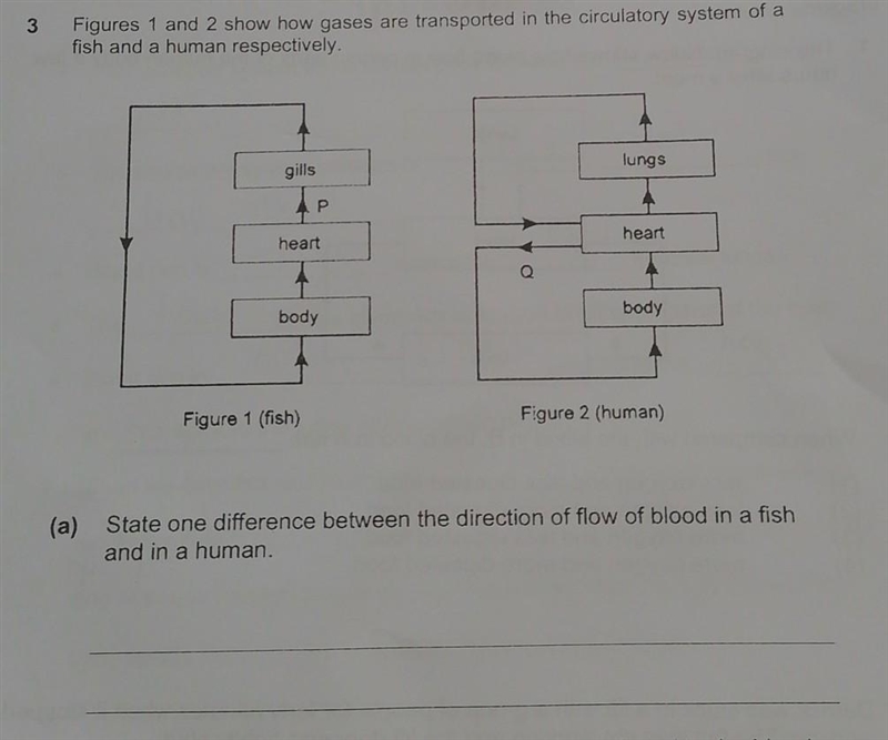 Question is up there​-example-1