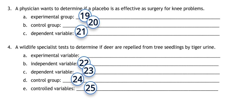 Hi can someone please help me with these!-example-1