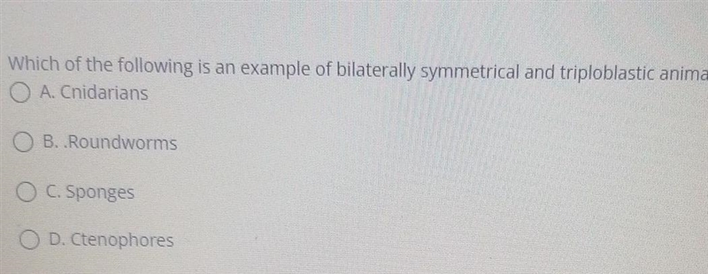 Witch of the following is an example of bilaterally symmetrical and triploblastic-example-1