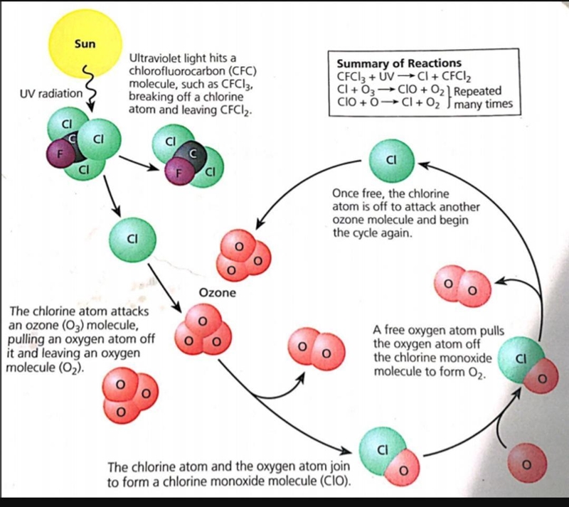 Describe the process of Ozone Depletion. How does it happen, and why?Diagram below-example-1