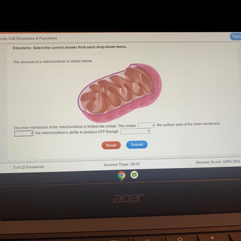 Mitochondrion structure and functionSelect the correct answer from each drop-down-example-1