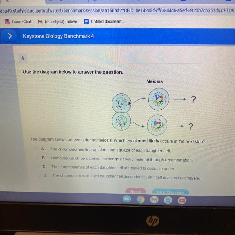 The diagram shows an event during meiosis. Which event most likely occurs in the next-example-1