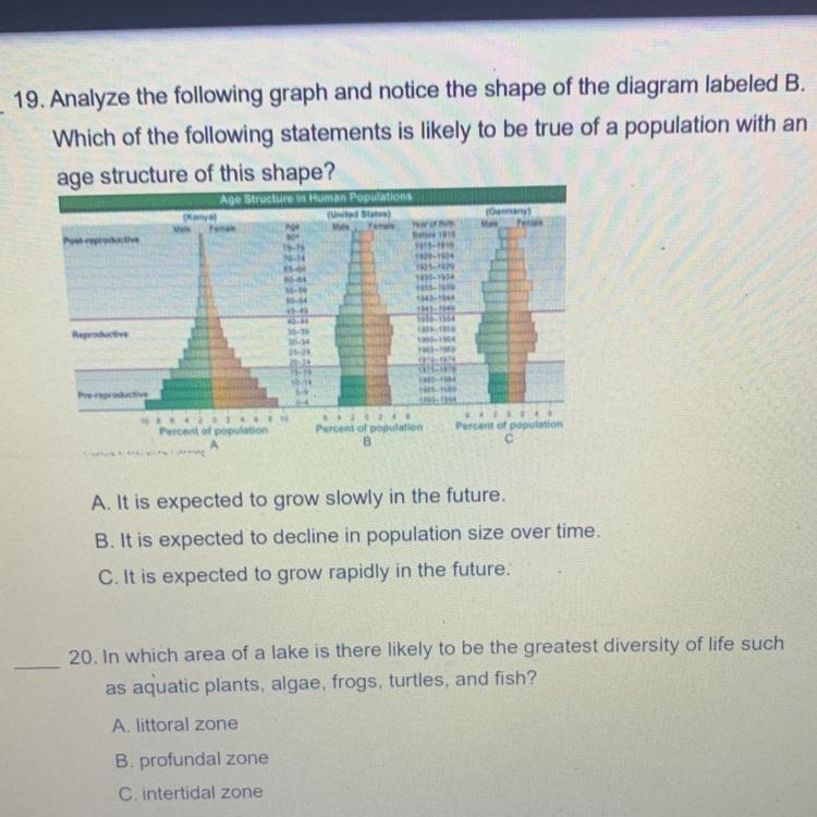 19. Analyze the following graph and notice the shape of the diagram labeled B. Which-example-1