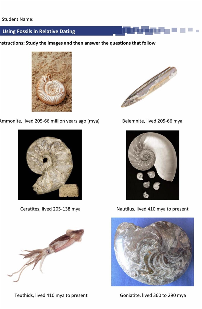 Which organism would make the best index fossil? Why?-example-1