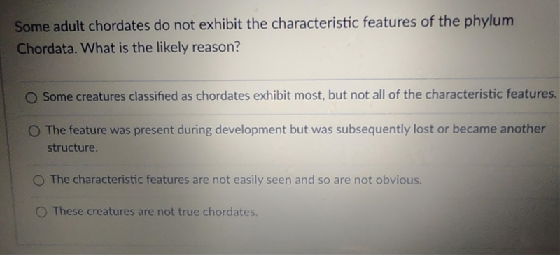 Some adult chordates do not exhibit the characteristic features of the phylum Chordata-example-1