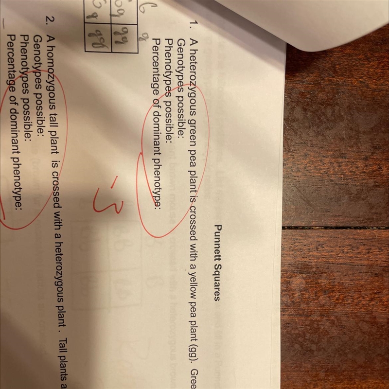 If green is dominant to yellow what is the genotype-example-1