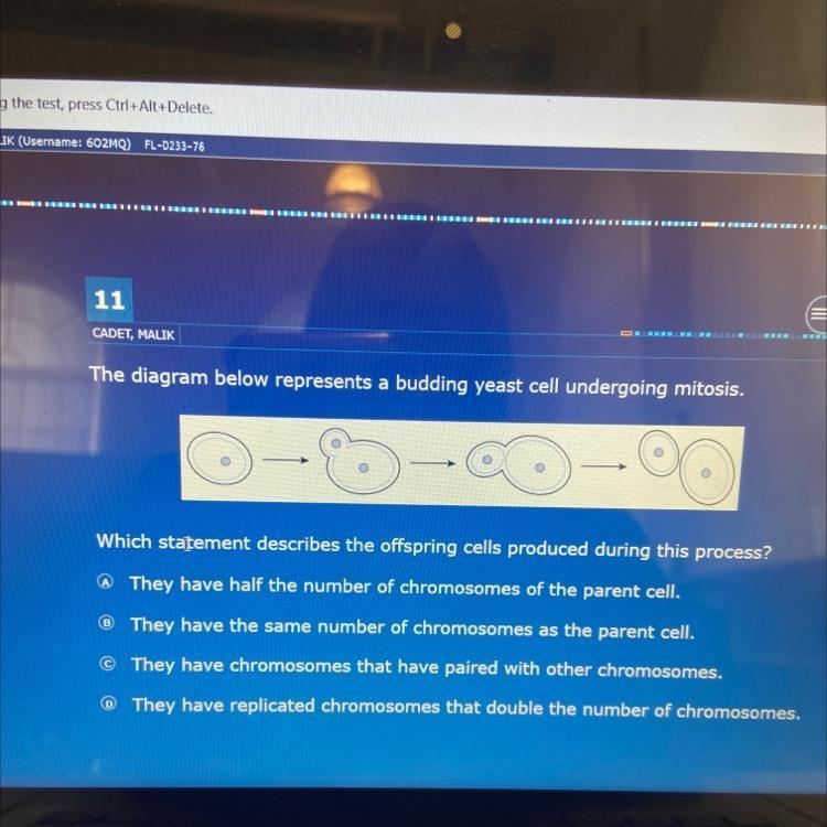 Which statement describes the offspring cells produced during this process?-example-1