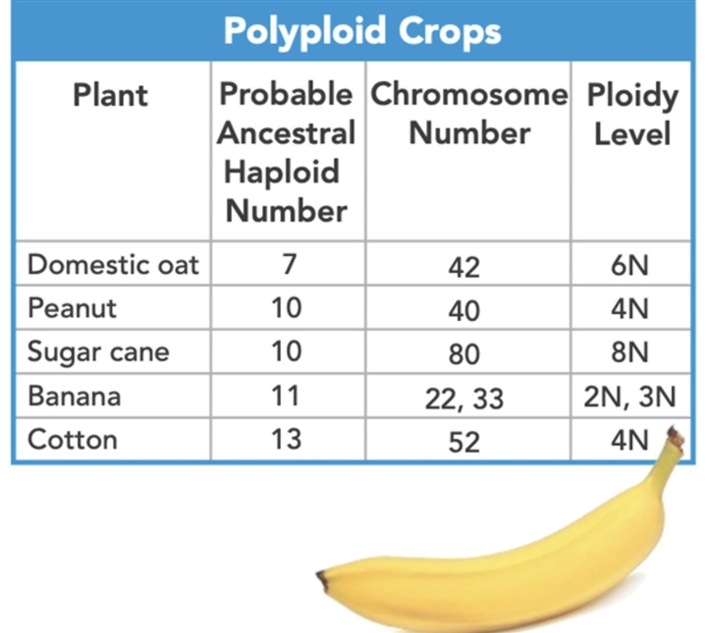 Which plant has undergone the most dramatic change in chromosome number?-example-1