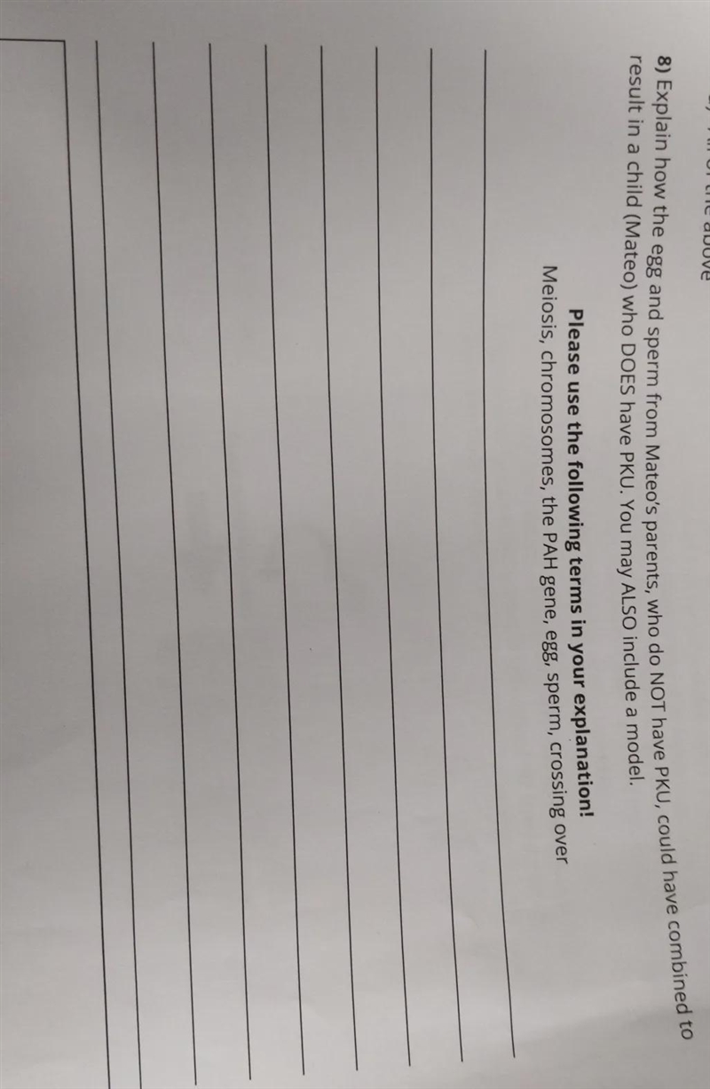 Explain how the egg and sperm from Mateo's parents, who do NOT have PKU, culd have-example-1