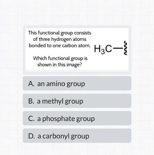 This functional group consists of three hydrogen atoms bonded to one carbon atom. HaC-example-1