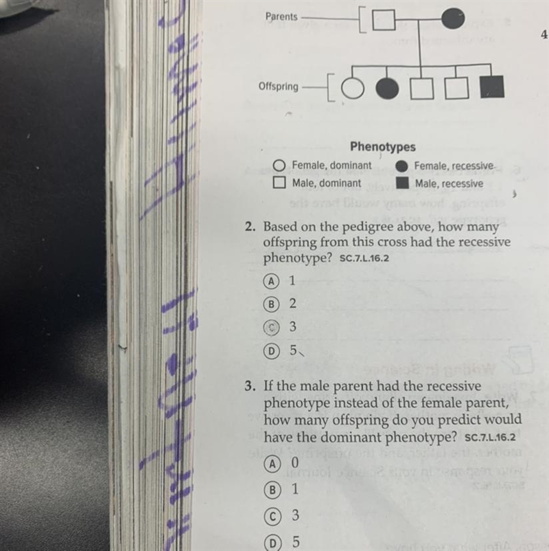 PLSSSS USE THE IMAGE TO ANSWER QUESTION 2 AND 3-example-1