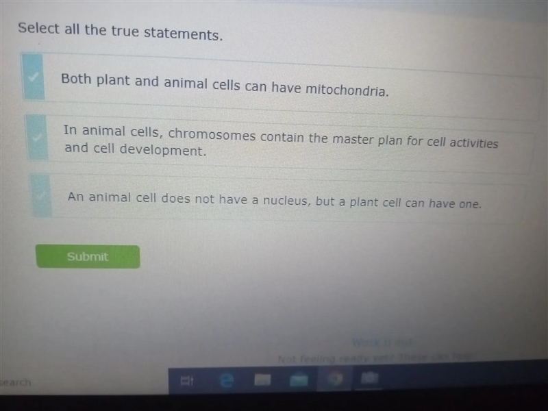 select all the true statements : A) Both plant and animal cells can have mitochondria-example-1