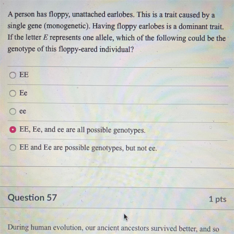 A person has floppy, unattached earlobes. This is a trait caused by a single gene-example-1