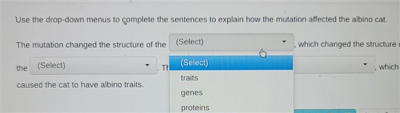 Question: What is the mRNA sequence of the Albino Cat? What mutation gave the albino-example-3