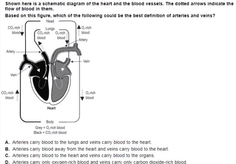 Pls help do this question-example-1