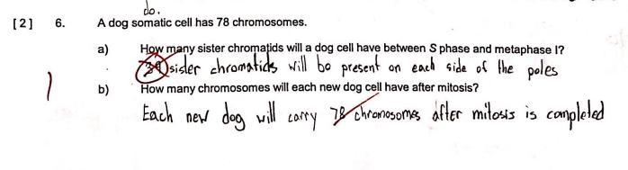 Hello I just got my test back I want to know how to the ones i got wrong correctly-example-1