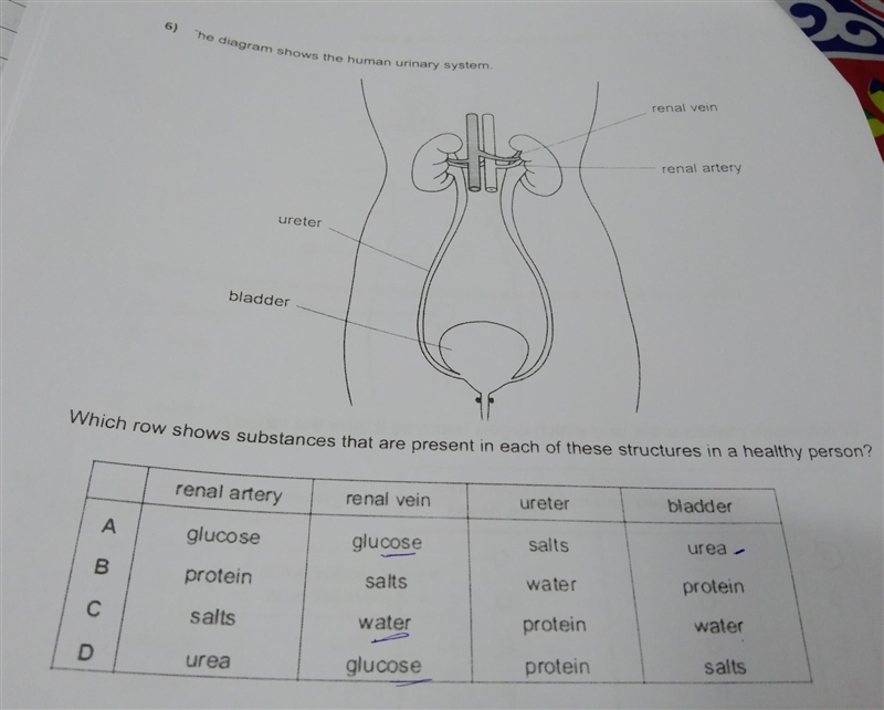 Which row shows substances that are present in each of these structures in a healthy-example-1