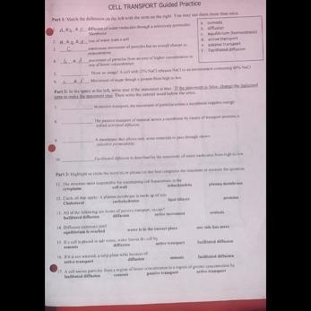 CELL TRANSPORT Guided Practice hw-example-1