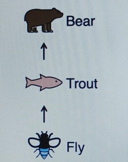 In this simple food chain, the organism that converts solar energy into usable chemical-example-1