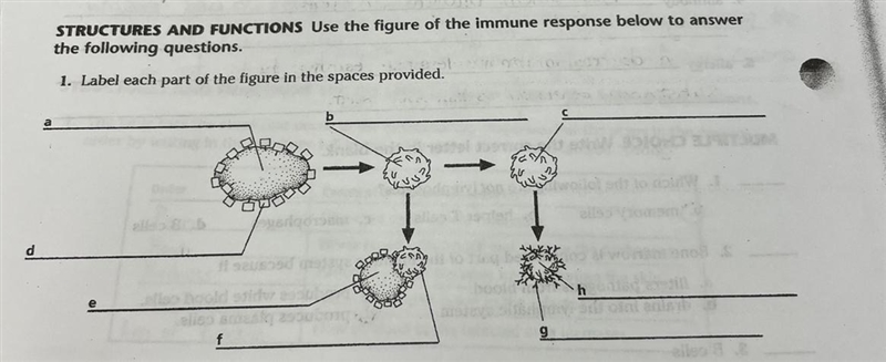 Can someone help me label this I’ve been stuck overnight studying for finals and I-example-1