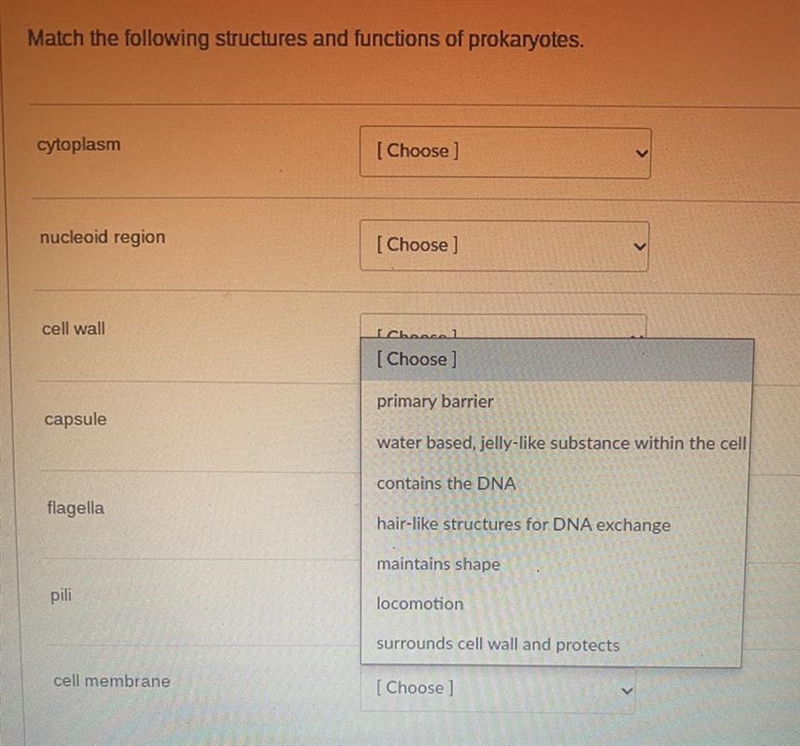 Match the following structures and functions to the prokaryotes, please.-example-1