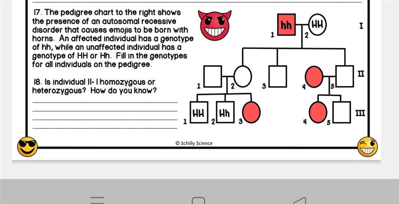 17. Fill the genotypes for all individuals on the pedigree.-example-1