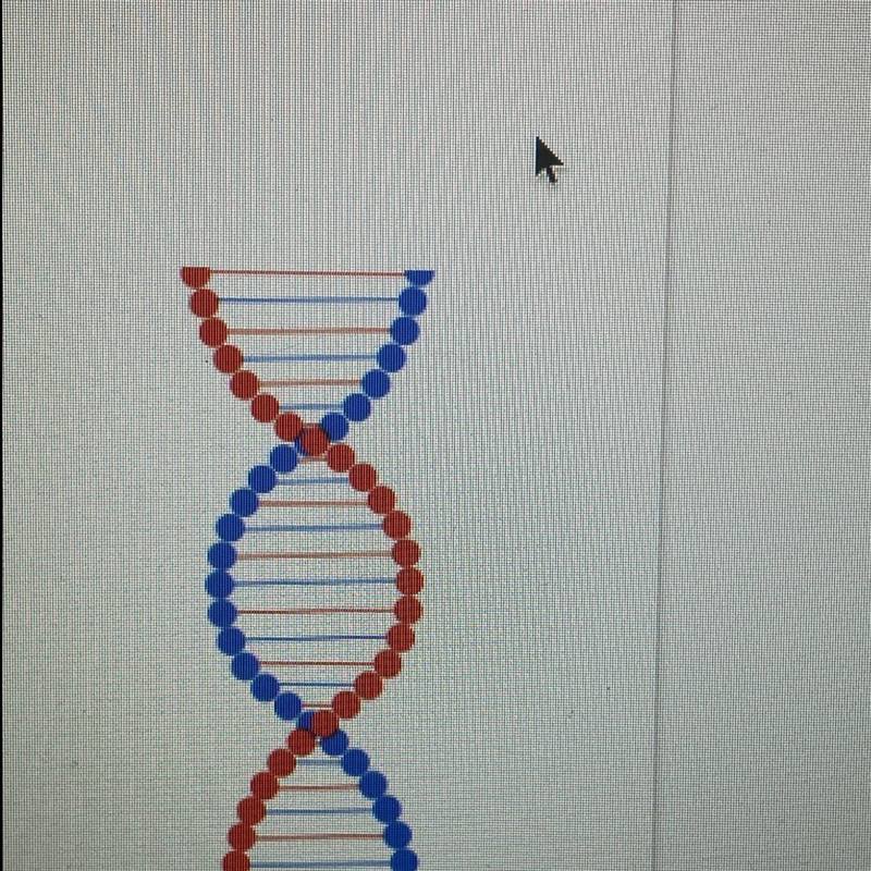 What does the DNA shape remind you of? How many strands do you see?-example-1